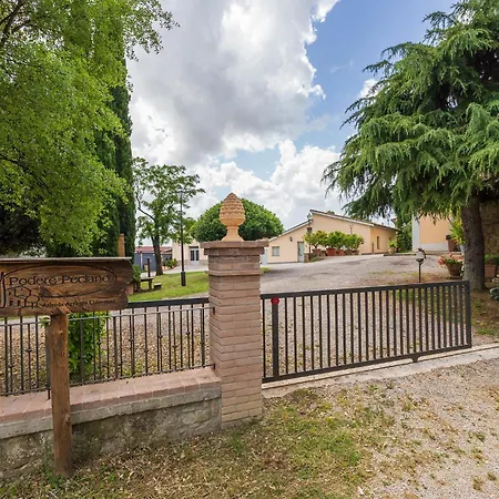 Fattoria Podere Peciano *