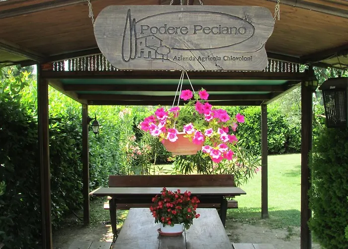 Farm stay Fattoria Podere Peciano Cortona