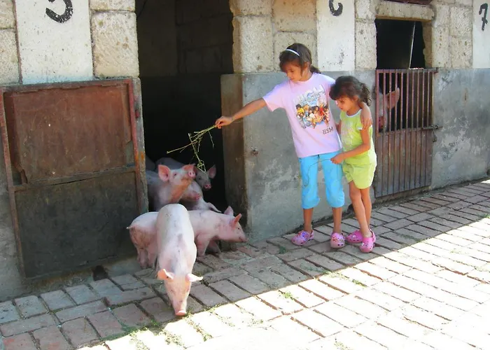Fattoria Podere Peciano Cortona