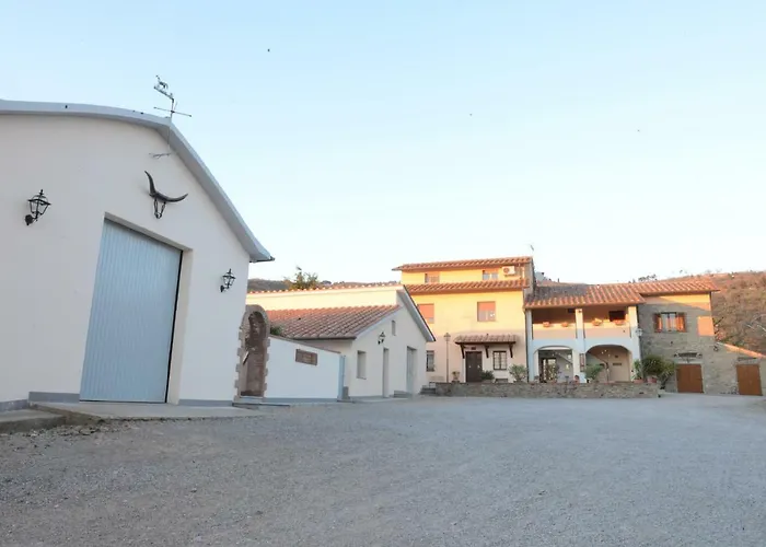 Farm stay Fattoria Podere Peciano *