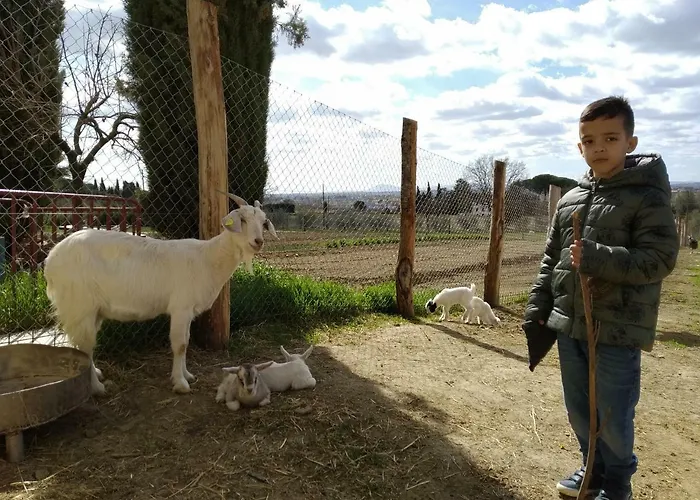 Fattoria Podere Peciano Farm stay *