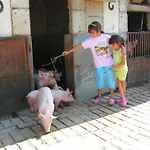 Fattoria Podere Peciano Cortona