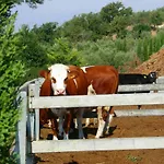 Farm stay Fattoria Podere Peciano