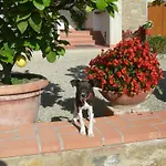 Farm stay Fattoria Podere Peciano Cortona