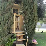 Farm stay Fattoria Podere Peciano Cortona