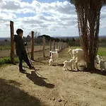 Farm stay Fattoria Podere Peciano