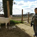 Fattoria Podere Peciano Farm stay *