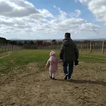 Fattoria Podere Peciano *