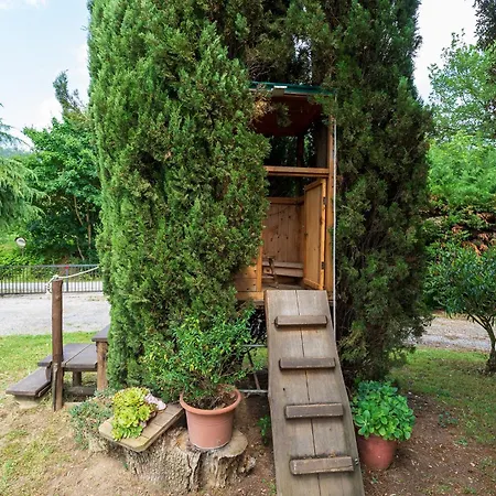 Fattoria Podere Peciano *