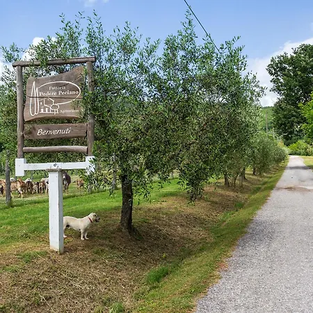 Fattoria Podere Peciano Фермерський будинок *