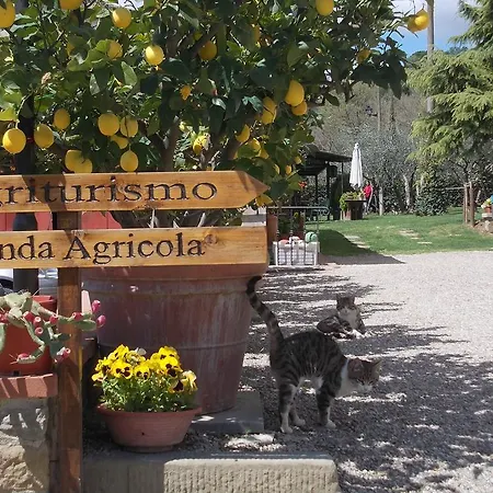 Fattoria Podere Peciano *