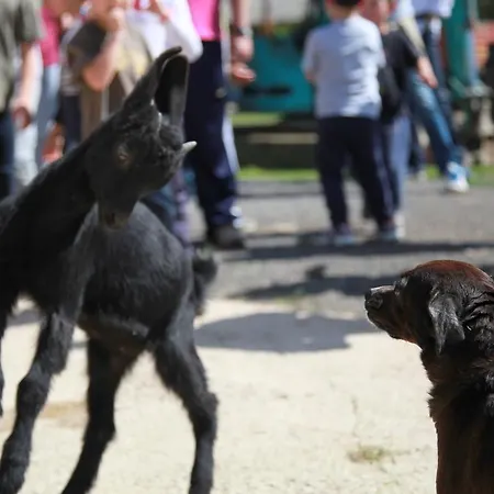 Fattoria Podere Peciano