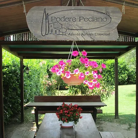 Lantgård Fattoria Podere Peciano Cortona