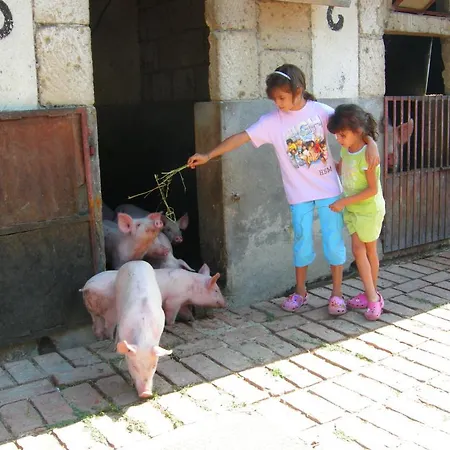 Fattoria Podere Peciano Кортона