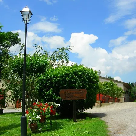 Fattoria Podere Peciano Cortona