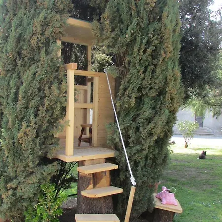 Lantgård Fattoria Podere Peciano Cortona