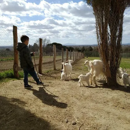 Lantgård Fattoria Podere Peciano