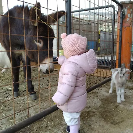 Фермерський будинок Fattoria Podere Peciano *