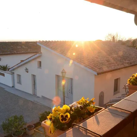 Fattoria Podere Peciano