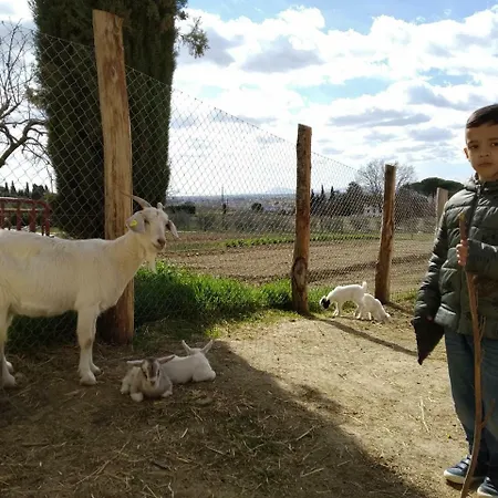 Fattoria Podere Peciano مزرعة للإقامة *