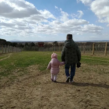 Fattoria Podere Peciano *