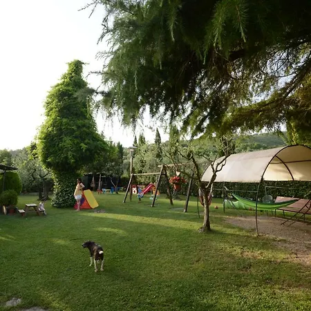 Fattoria Podere Peciano