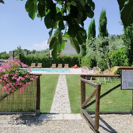 Fattoria Podere Peciano *