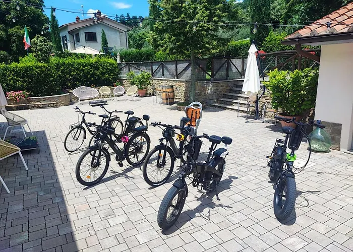 Fattoria Podere Peciano * Cortona