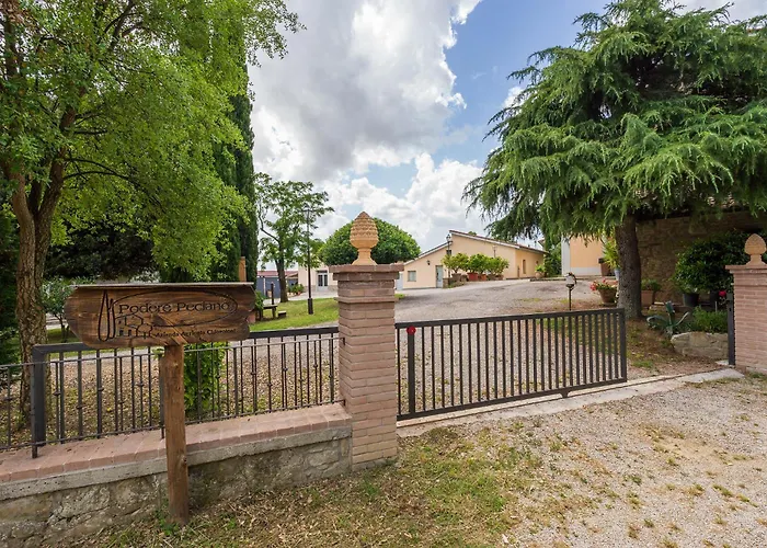 Fattoria Podere Peciano *