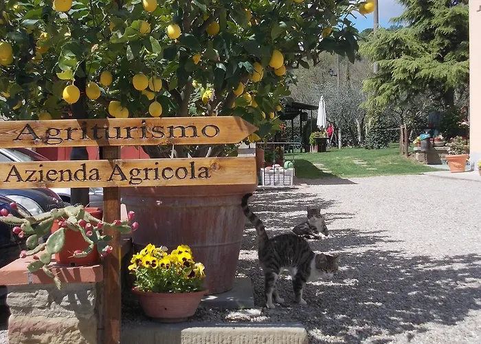 Fattoria Podere Peciano *