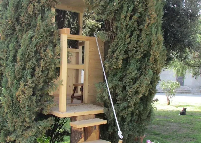 Farma Fattoria Podere Peciano Cortona