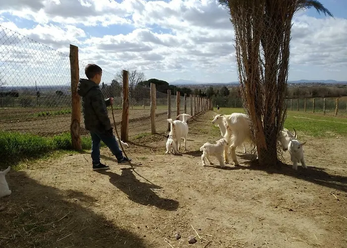 Farma Fattoria Podere Peciano
