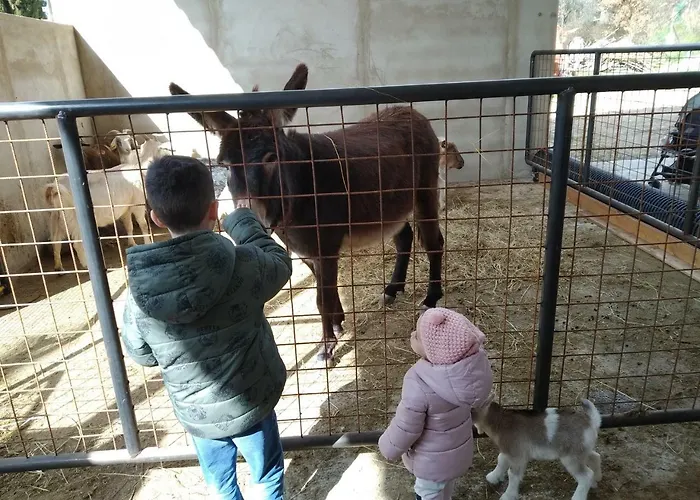 Fattoria Podere Peciano Cortona