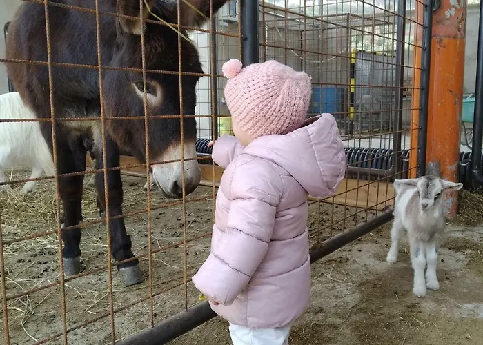 Feriegård Fattoria Podere Peciano *