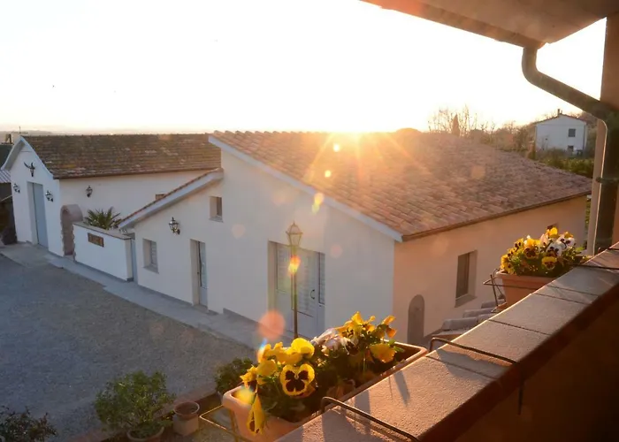 Fattoria Podere Peciano