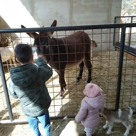 Fattoria Podere Peciano קורטונה